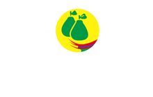 Madou District
