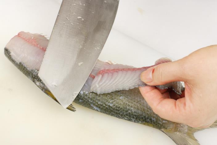 刀身貼著魚身輕割下魚皮