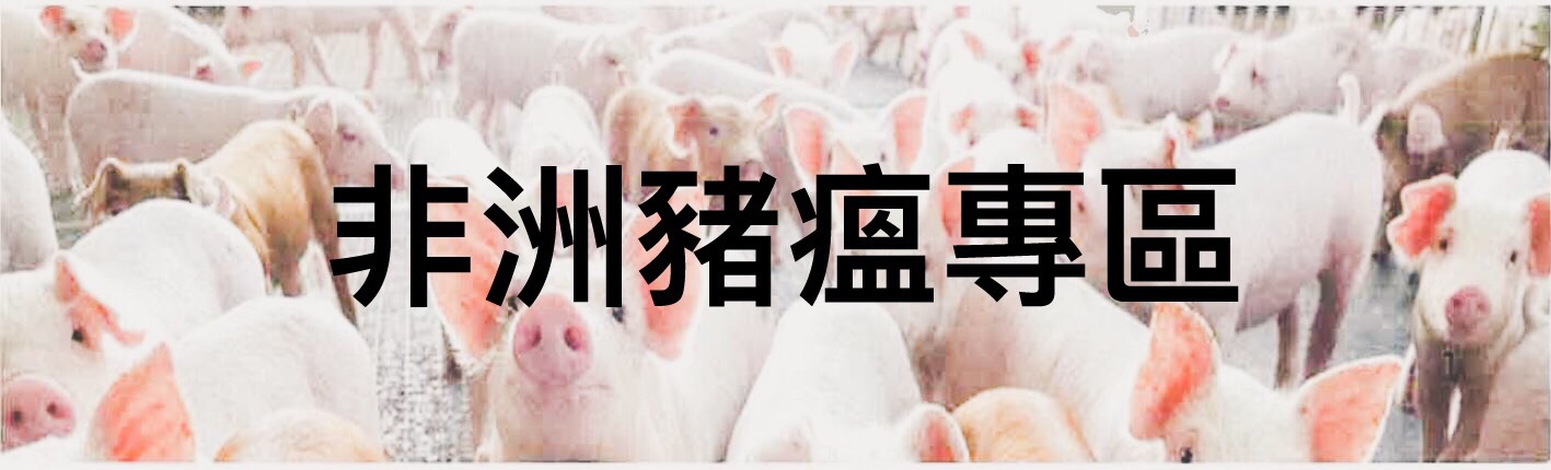 非洲豬瘟專區