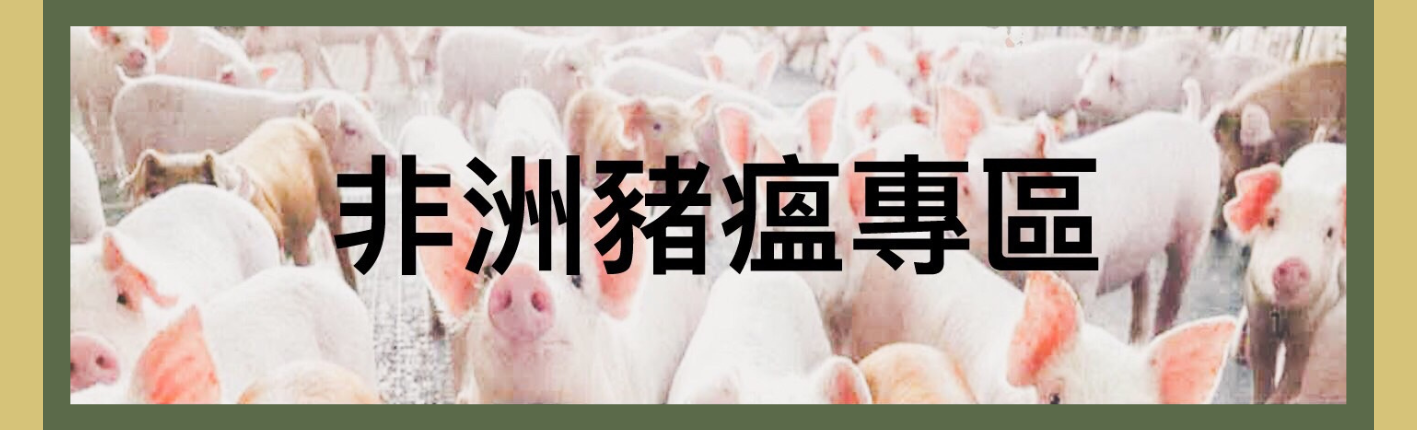 非洲豬瘟專區