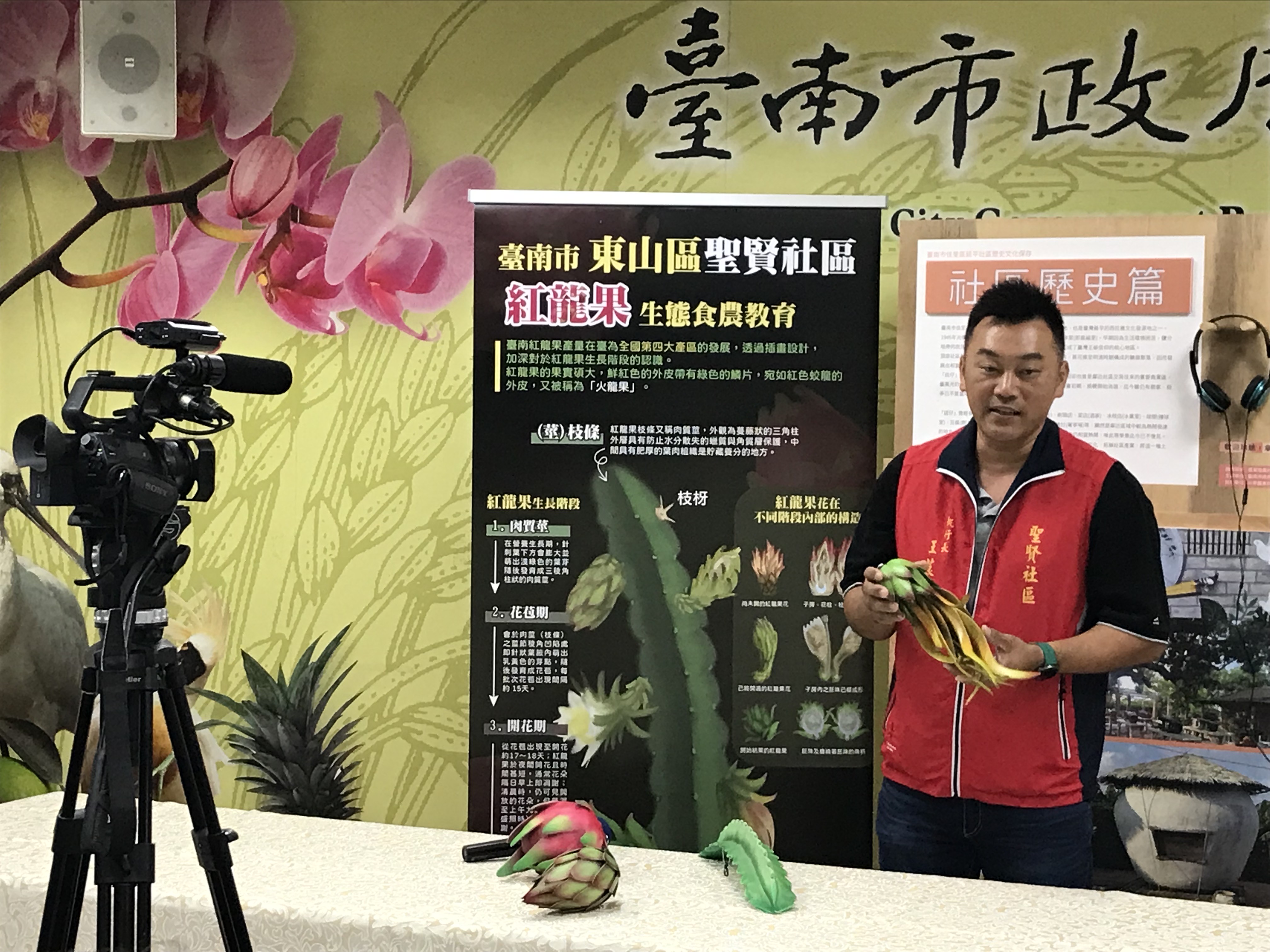 動手玩教具 體驗臺南市食農教育新教案