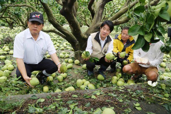 市長視察蘇迪勒颱風影響台南各地受損情況及農業損失
