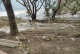 北側約40公尺範圍灘地高程不足，海葵颱風暴潮海水溢入保安林