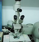 解剖顯微鏡
