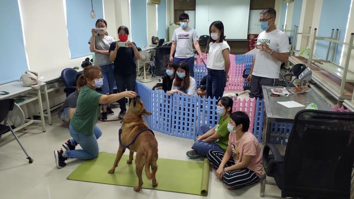 圖二、狗狗醫療照護減敏訓練實作課。