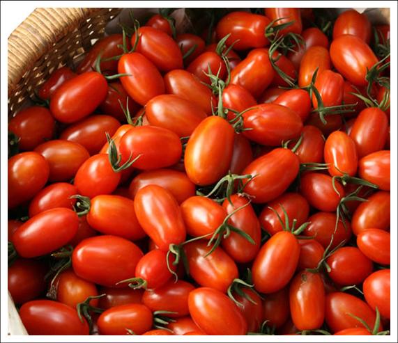 學甲區農漁牧產品 蕃茄
