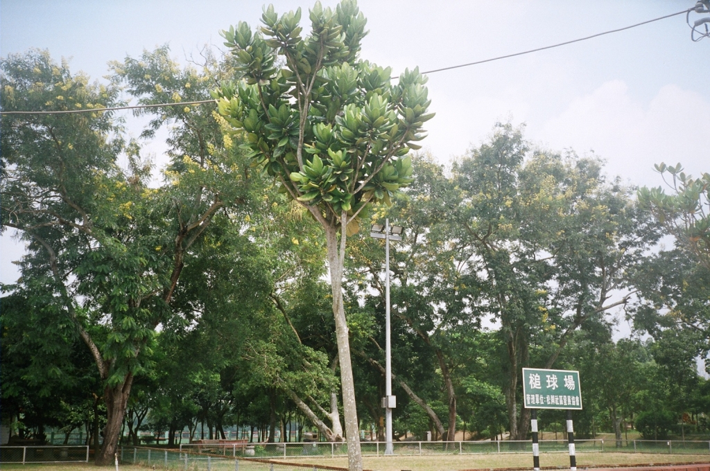 Datanbi, Wanglai Park, and Water Park