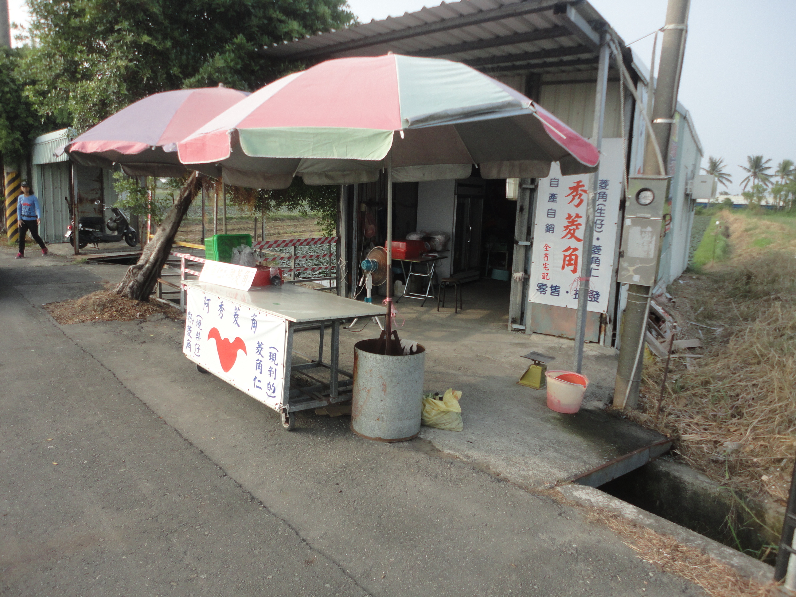 陳黃秀鑾 陳黃秀鑾