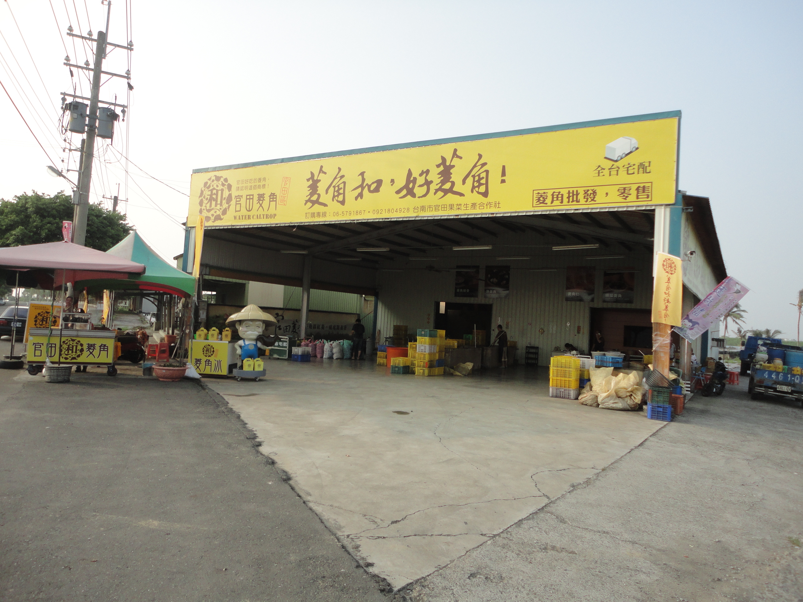 陳雅萍 陳雅萍