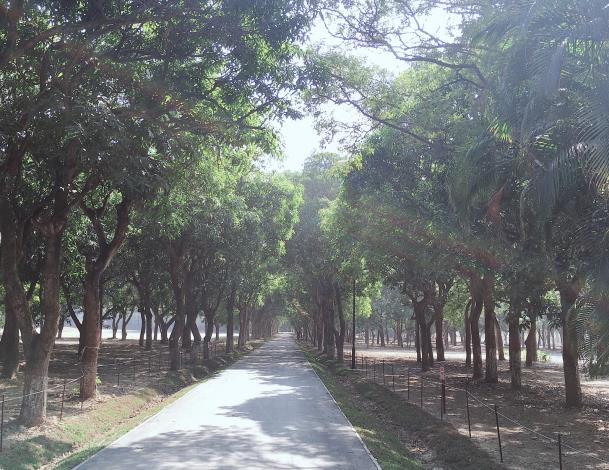 大隆田生態文化園區面積逾9公頃，種植有榕樹、桃花心木、芒果樹等