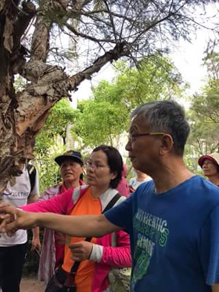 公園漫步