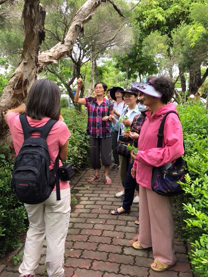 公園有藝樹