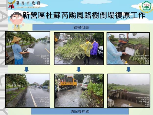 新營區杜蘇芮颱風路樹倒塌復原工作.JPG