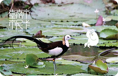 寶貝卡示意圖.png