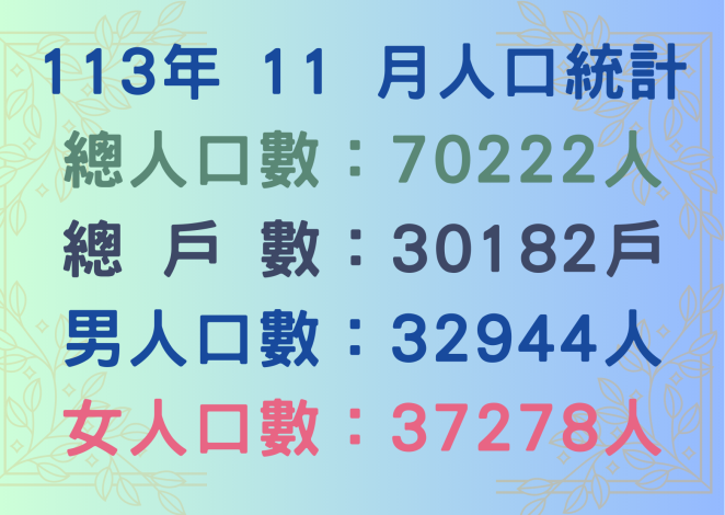 113年11月人口統計