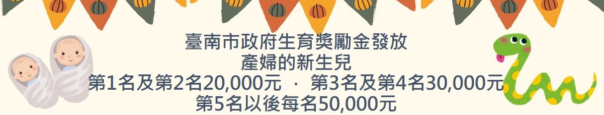 臺南市生育獎勵金宣導