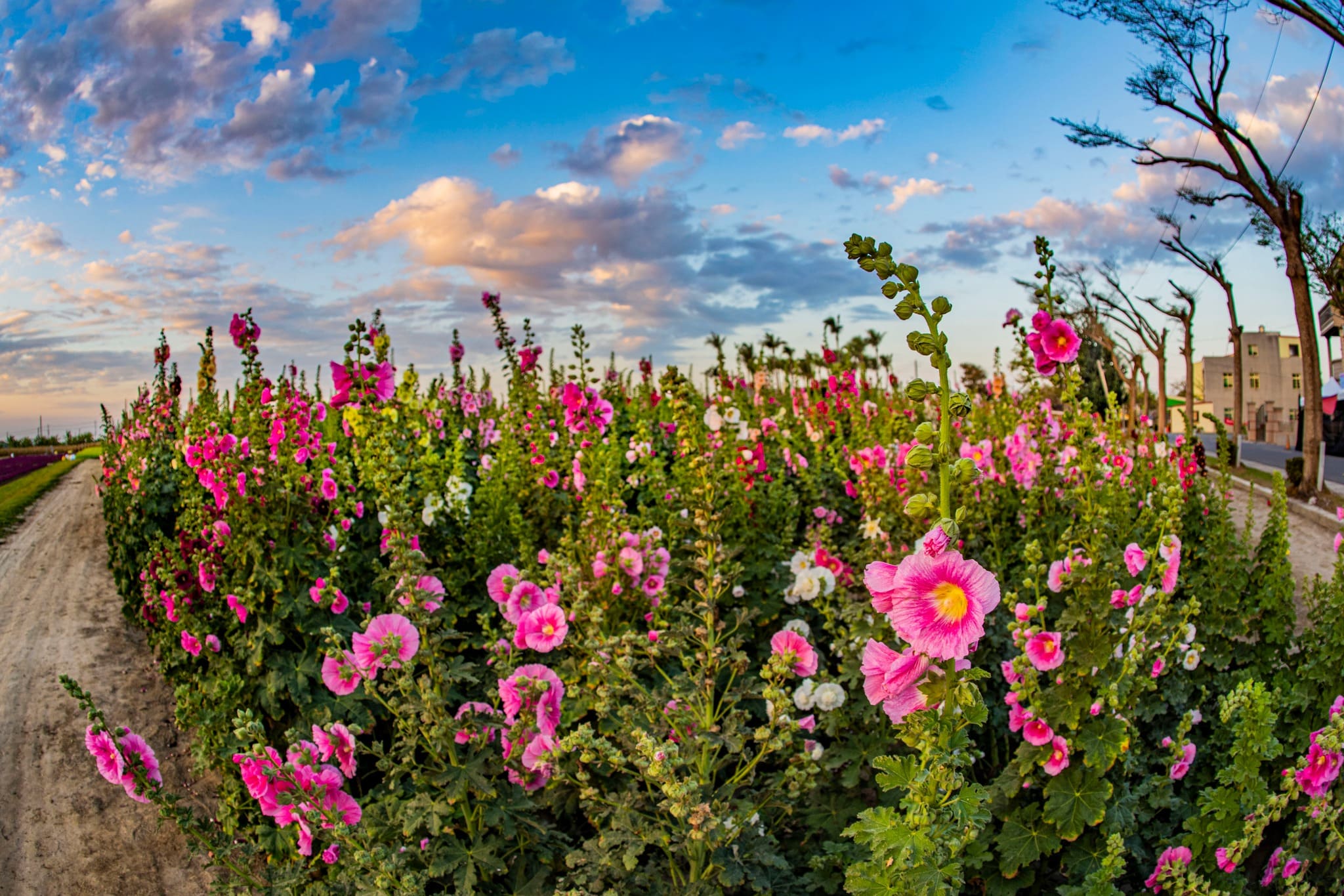 春假去哪玩？2026臺南兒童節清明連假旅遊攻略一次看