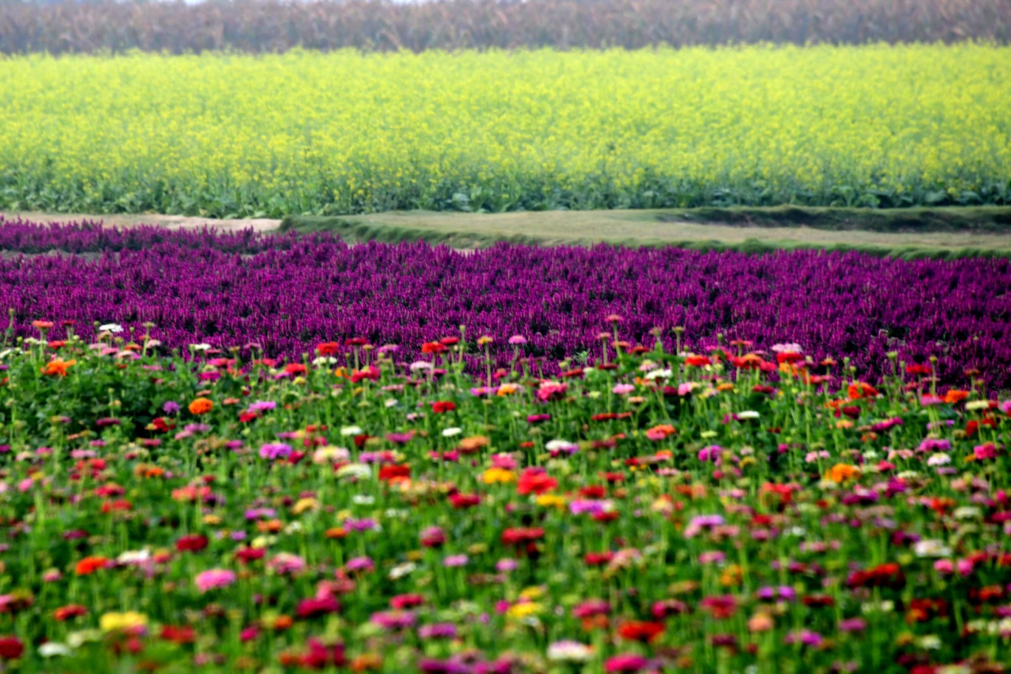 春假去哪玩？2026臺南兒童節清明連假旅遊攻略一次看