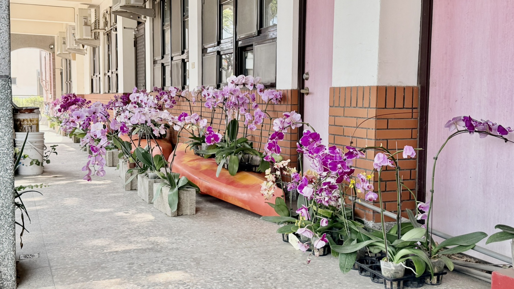 國際蘭展美景現蹤南市校園 深化永續及美感教育理念