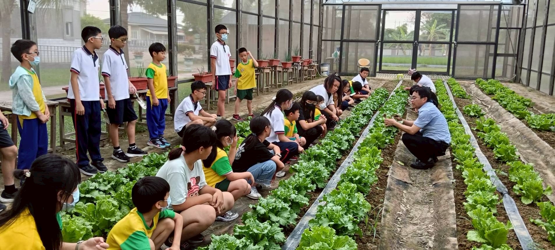 當季尚青！臺南在地食材入校園　邀全民共食盛產高麗菜