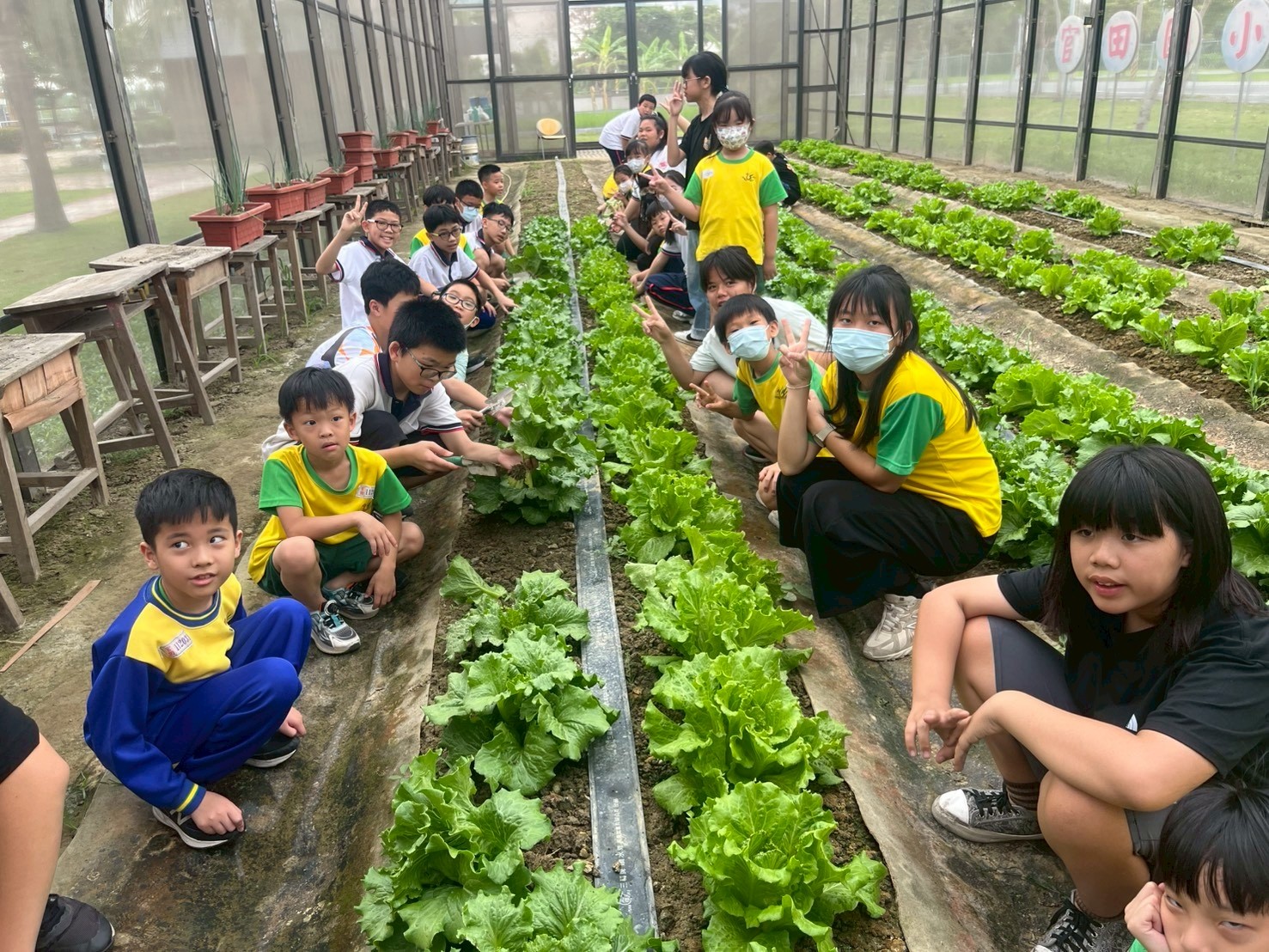 當季尚青！臺南在地食材入校園　邀全民共食盛產高麗菜