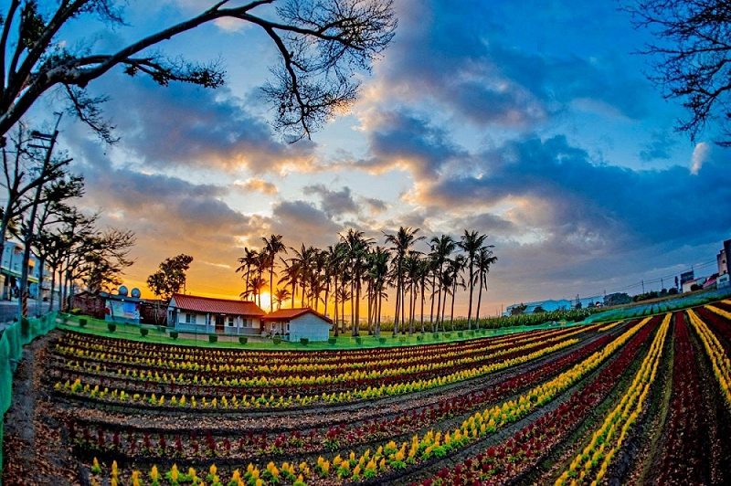 奇美博物館《埃及之王：法老》逾15萬人次參觀 兒童清明連假臺南推出兌換限量Q版法老貼紙活動