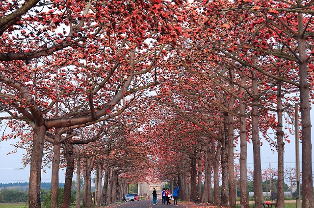 奇美博物館《埃及之王：法老》逾15萬人次參觀 兒童清明連假臺南推出兌換限量Q版法老貼紙活動