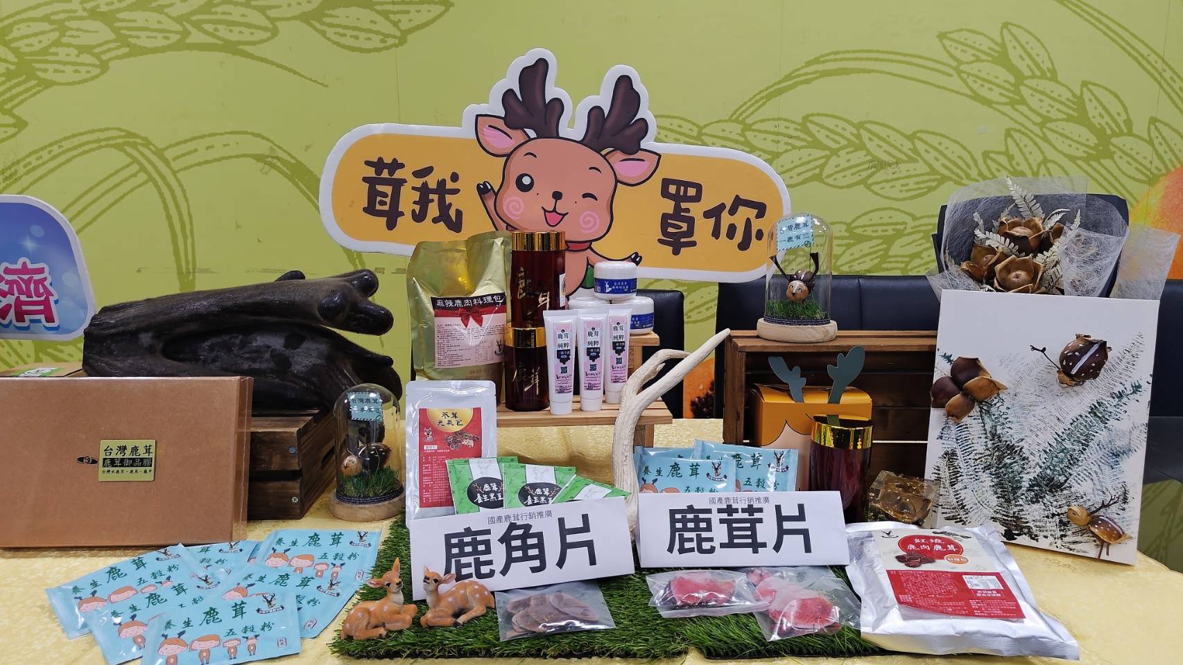 春末鹿茸正當時 安心選購國產鹿茸