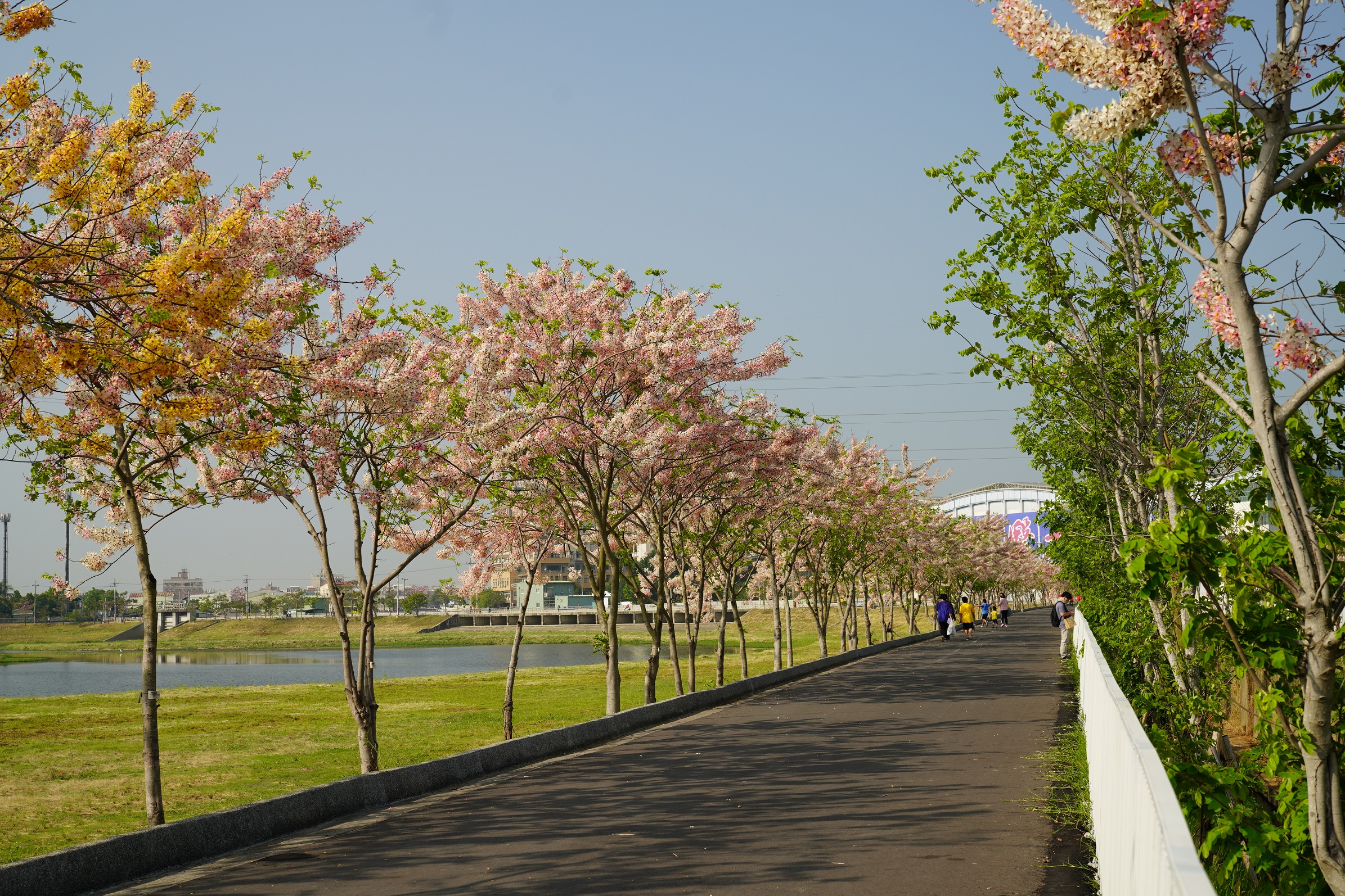 黃偉哲市長：提升台南市滯洪池量能，打造韌性承洪城市，守護家園安全