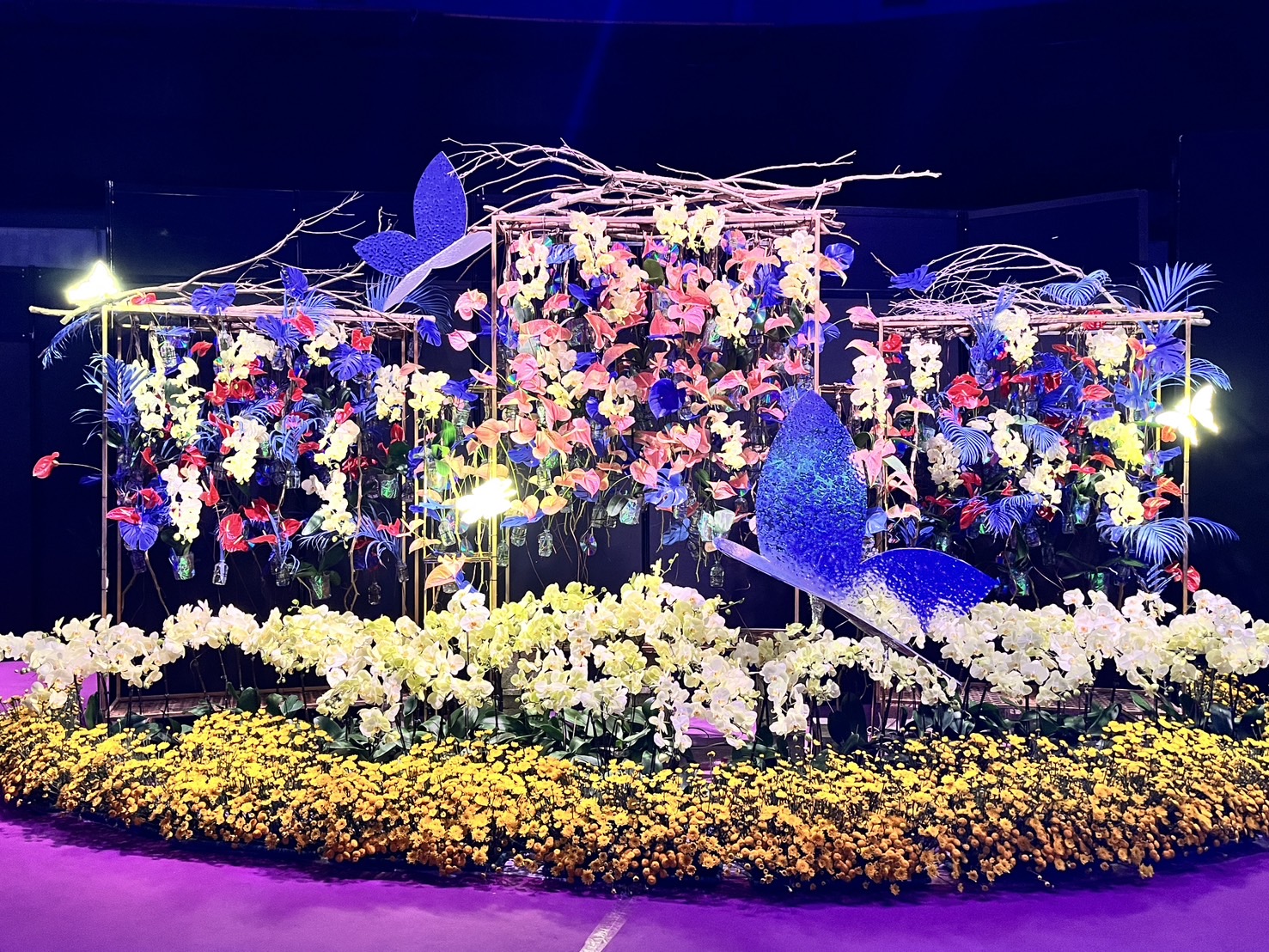 花卉科技展限定開放：巨幕花海與群眾互動，打造獨特視覺饗宴
