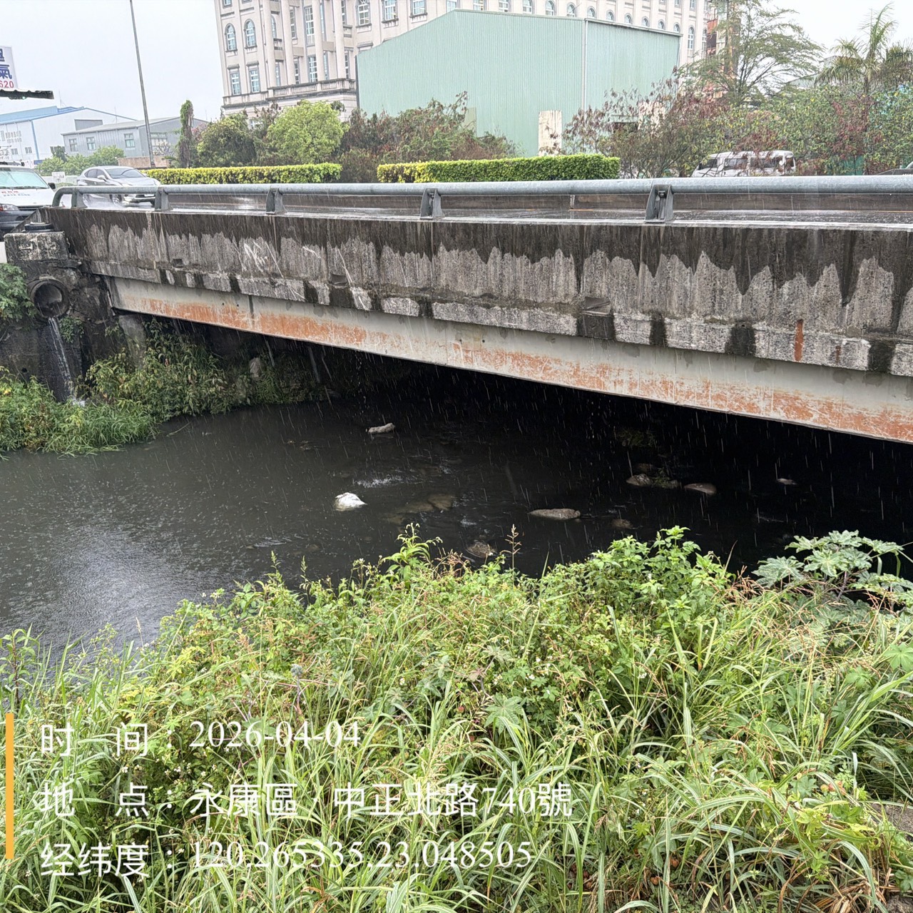 永康區排水渠道大量魚隻死亡 水利局連假期間迅速打撈維護環境