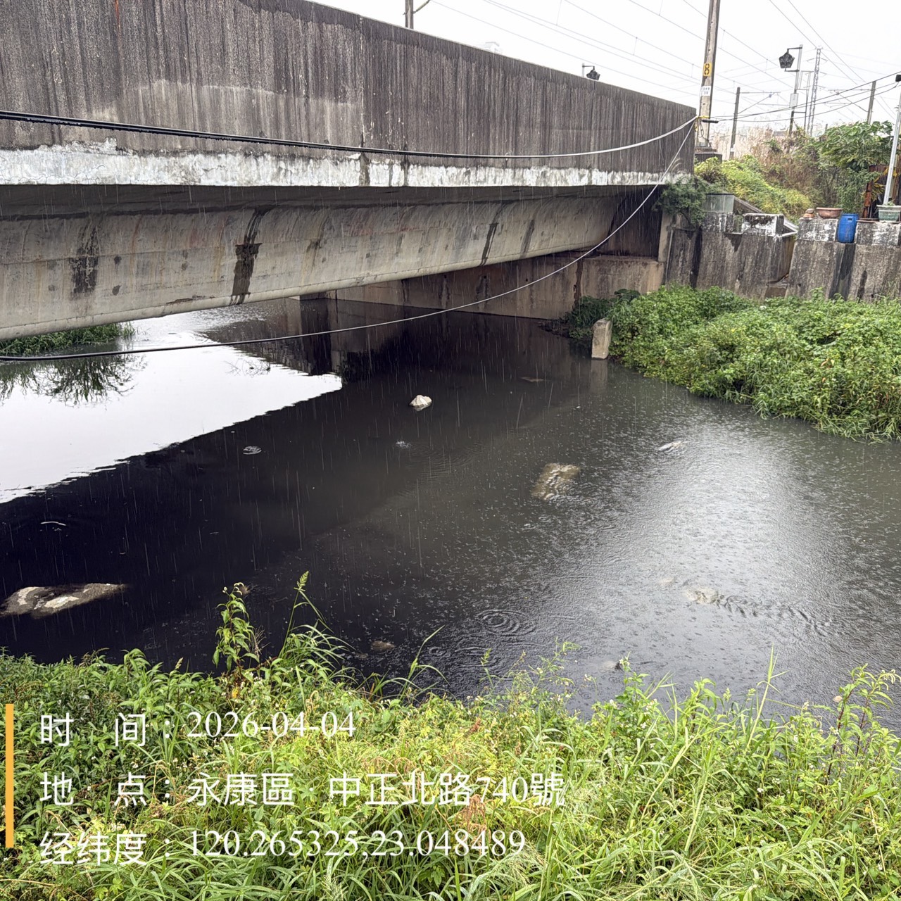 永康區排水渠道大量魚隻死亡 水利局連假期間迅速打撈維護環境