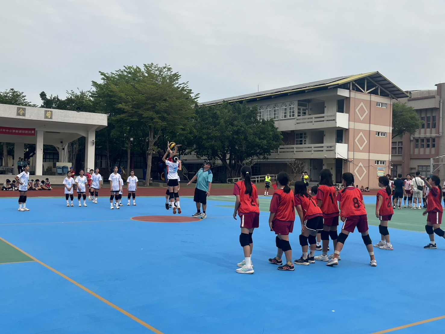 臺南市中小學躲避球對抗賽開打 展現校園運動活力