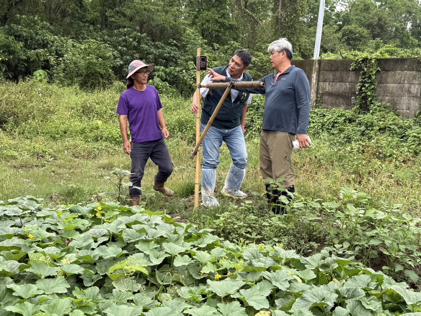 臺南擴大推動草鴞生態給付 延續黑面琵鷺與水雉保育成果打造棲地共榮