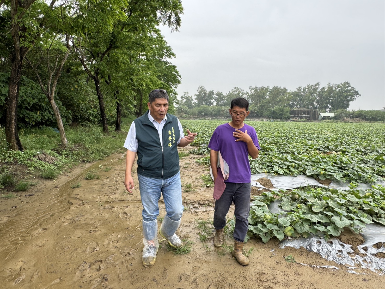 臺南擴大推動草鴞生態給付 延續黑面琵鷺與水雉保育成果打造棲地共榮