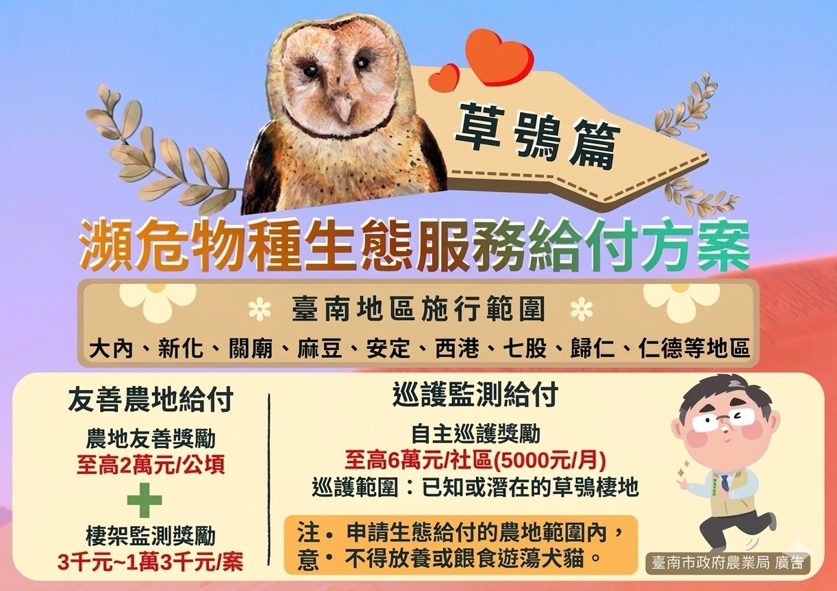 台南市擴大推動草鴞生態給付，延續黑面琵鷺與水雉保育成果