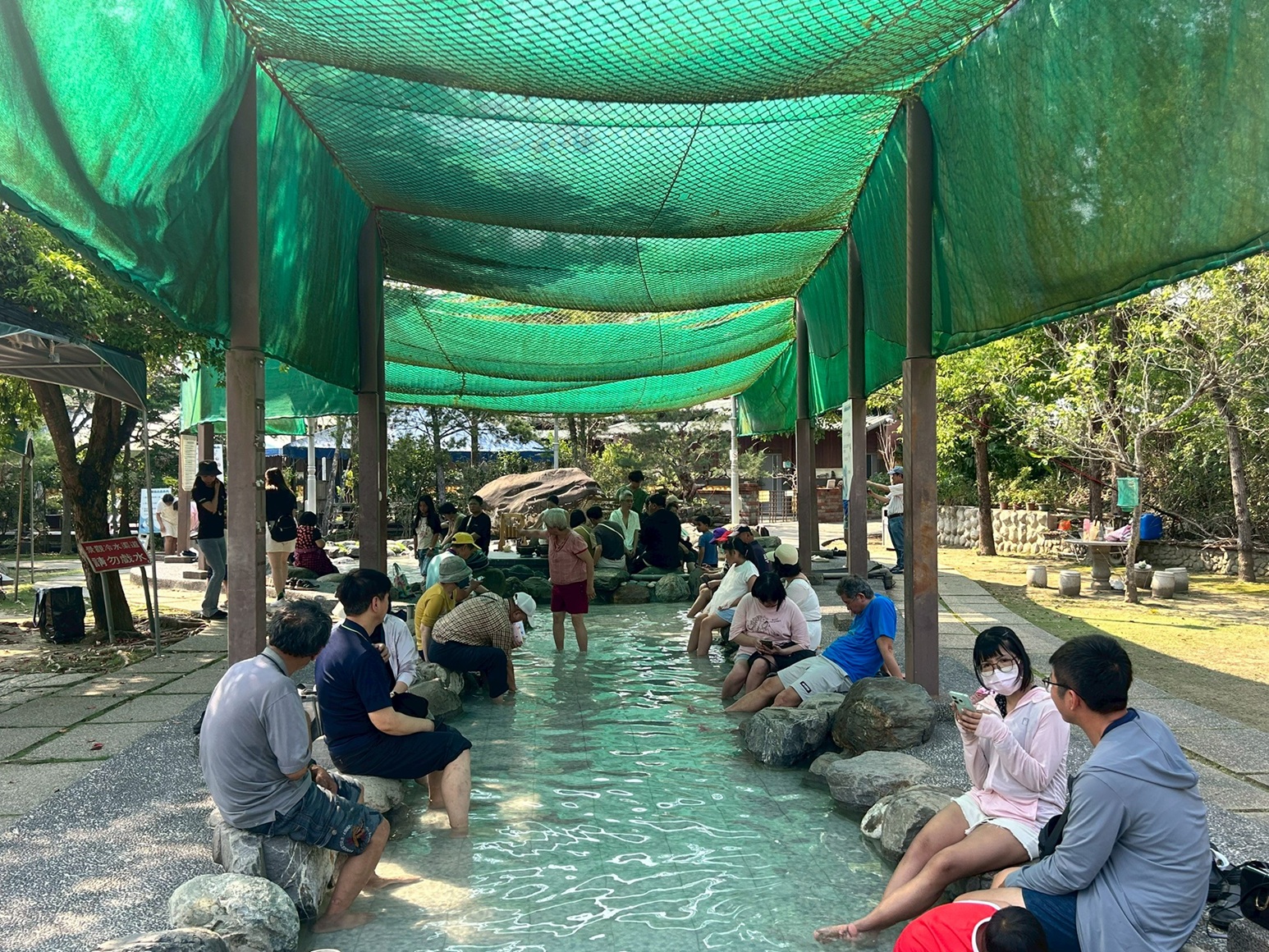 延續花泉熱潮！台南梅嶺螢光花泉季二部曲登場 春夜追光正當時