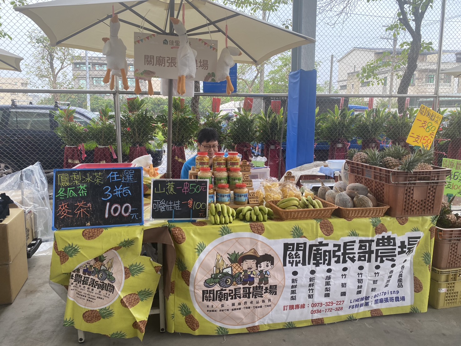 佳里好蒡人氣爆棚　牛蒡產業文化活動吸引大批民眾參與
