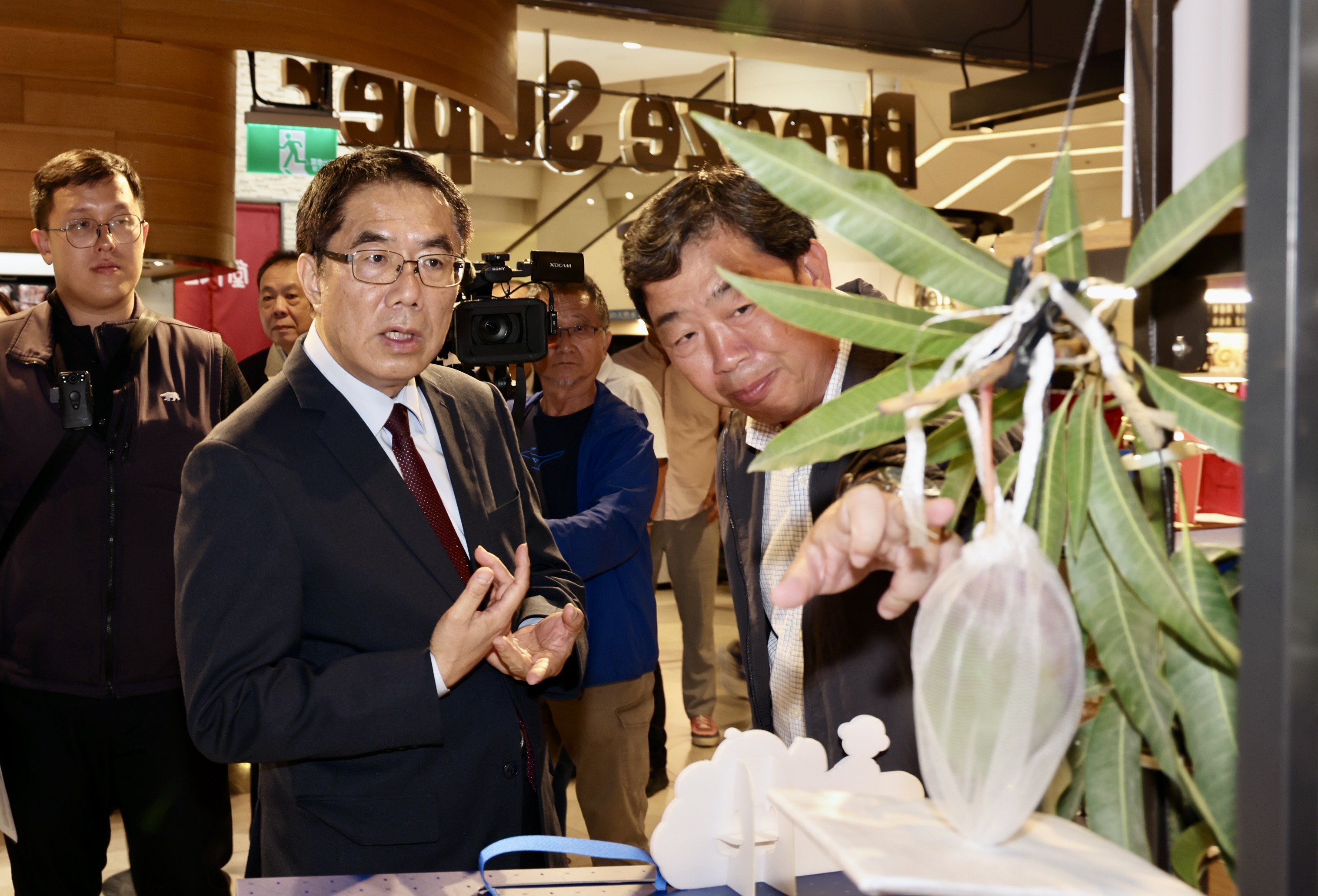 台南頂級芒果新鮮直送日本　國內外同步品嚐頂級風味