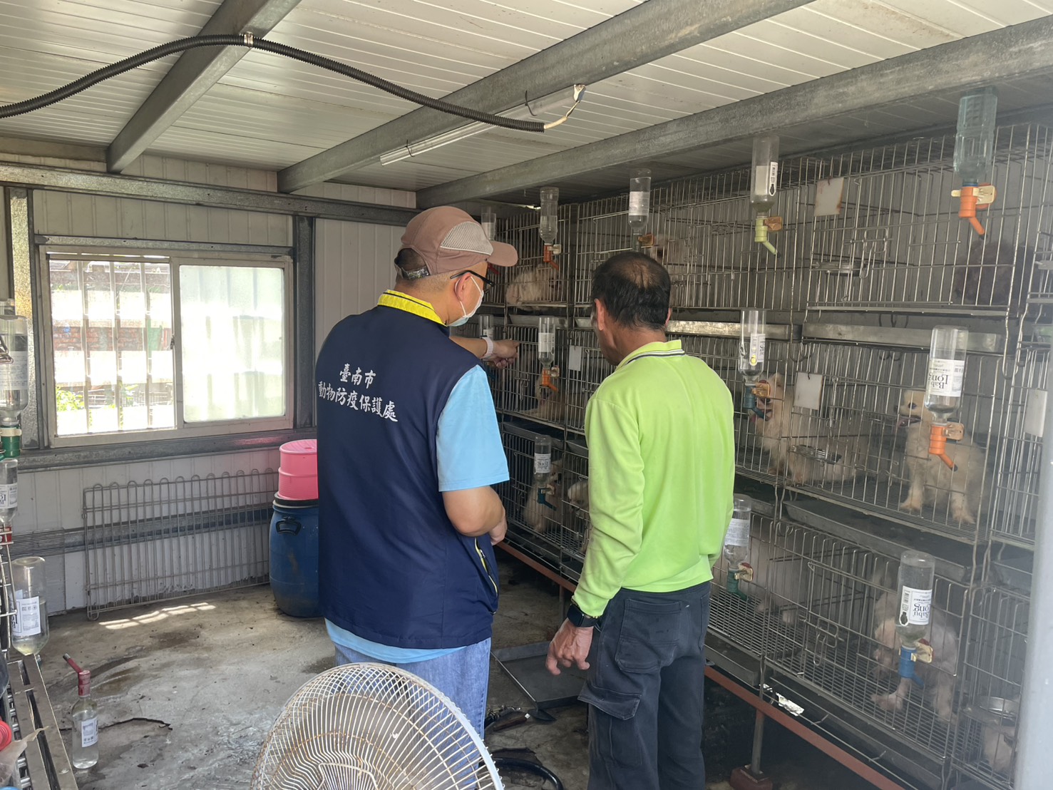 台南市學甲犬隻疑似不當飼養案 動保處將依法調查