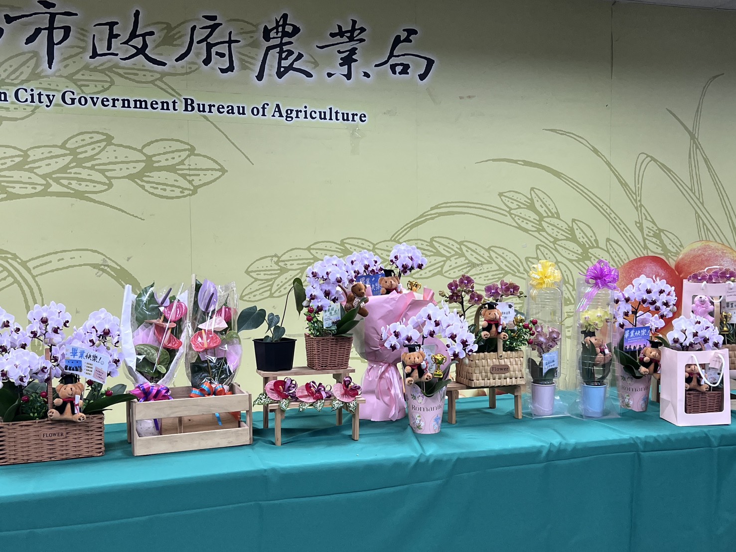 送你一個第一名 市長黃偉哲推薦在地特色花卉傳遞畢業祝福