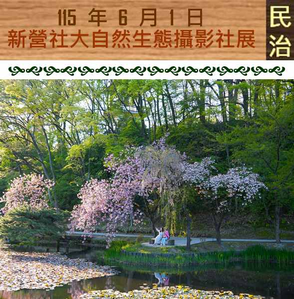 臺南市政府民治市政中心藝文展：新營社大自然生態攝影社師生聯展（民治市政中心發布）