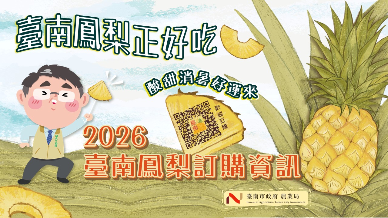 臺南鳳梨甜蜜上市，美味可口，歡迎踴躍訂購!