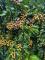 messageImage_1787542065008