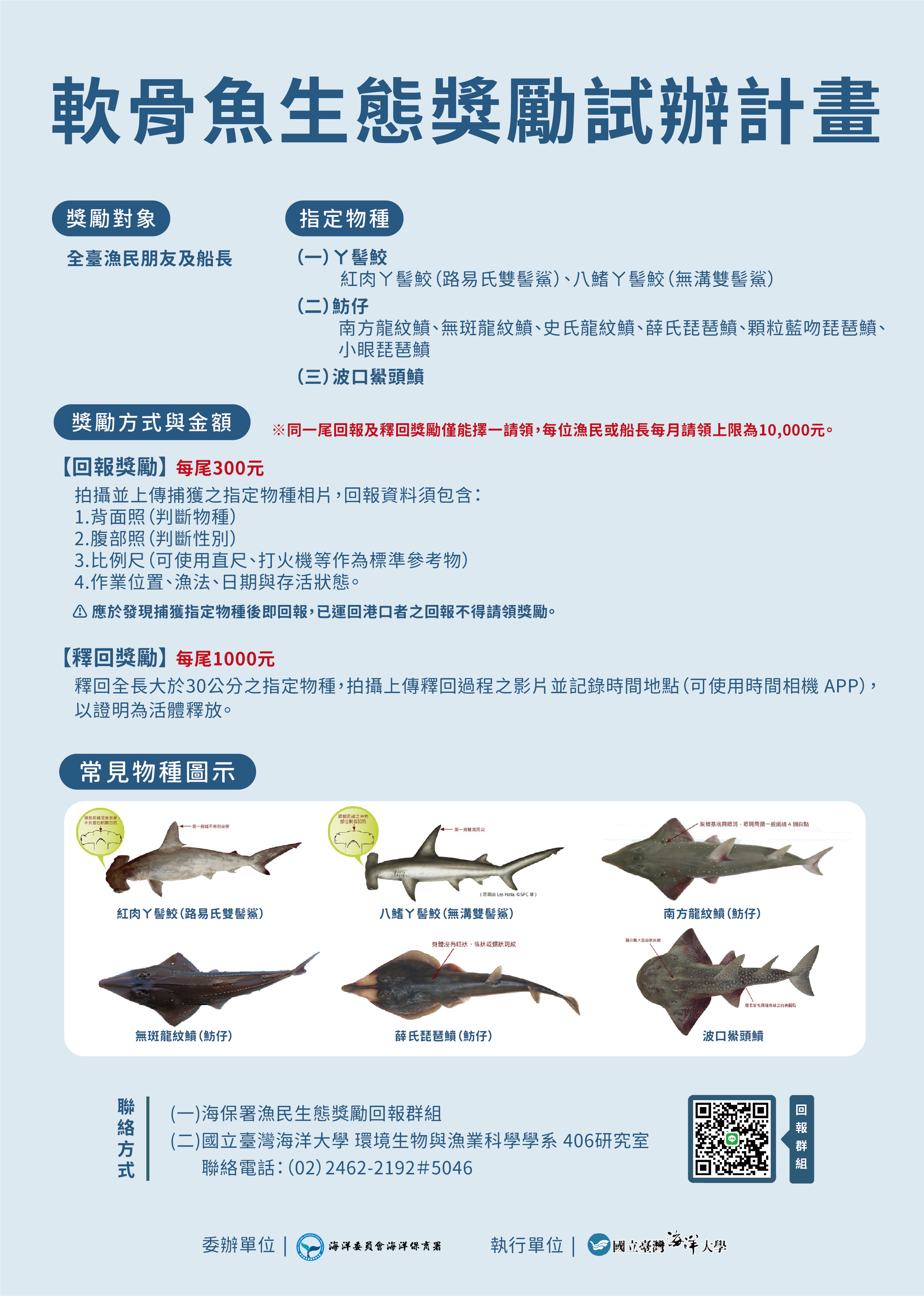 「軟骨魚生態獎勵試辦計畫」宣傳海報