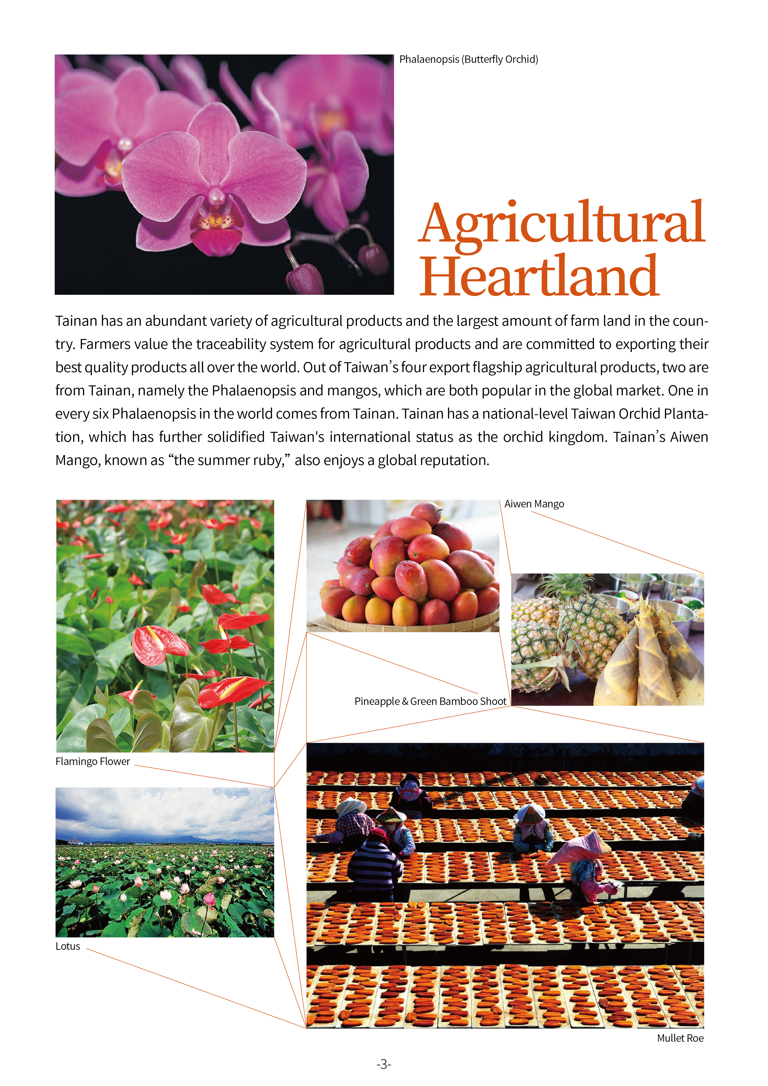 about tainan e-book page 3