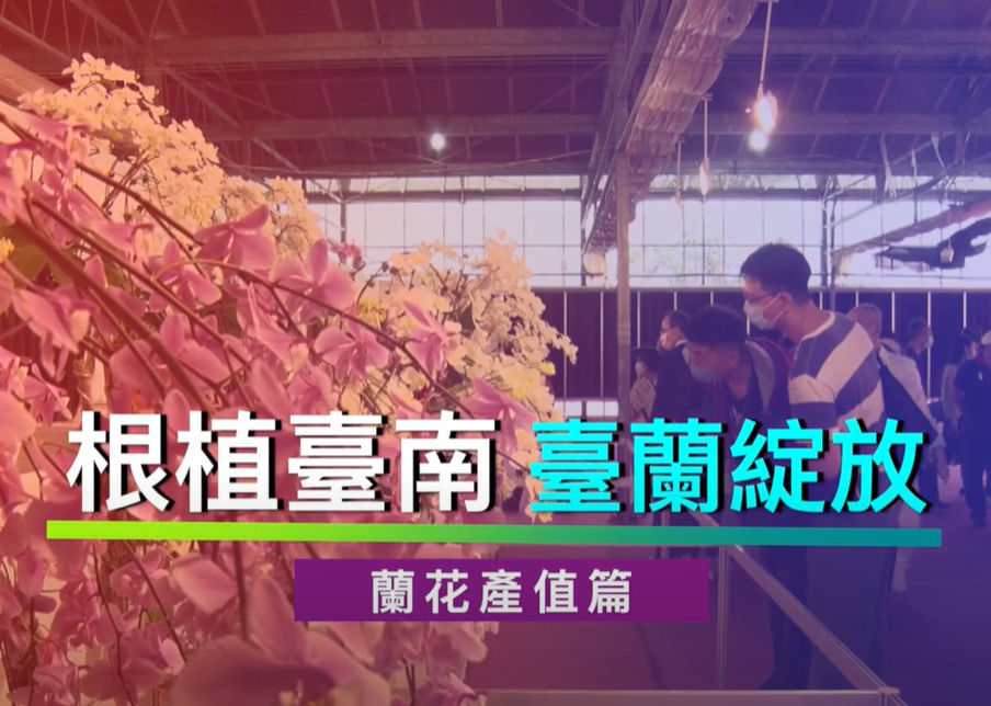 《根植臺南 ‧ 臺蘭綻放》 - 蘭花產值篇!延伸閱讀