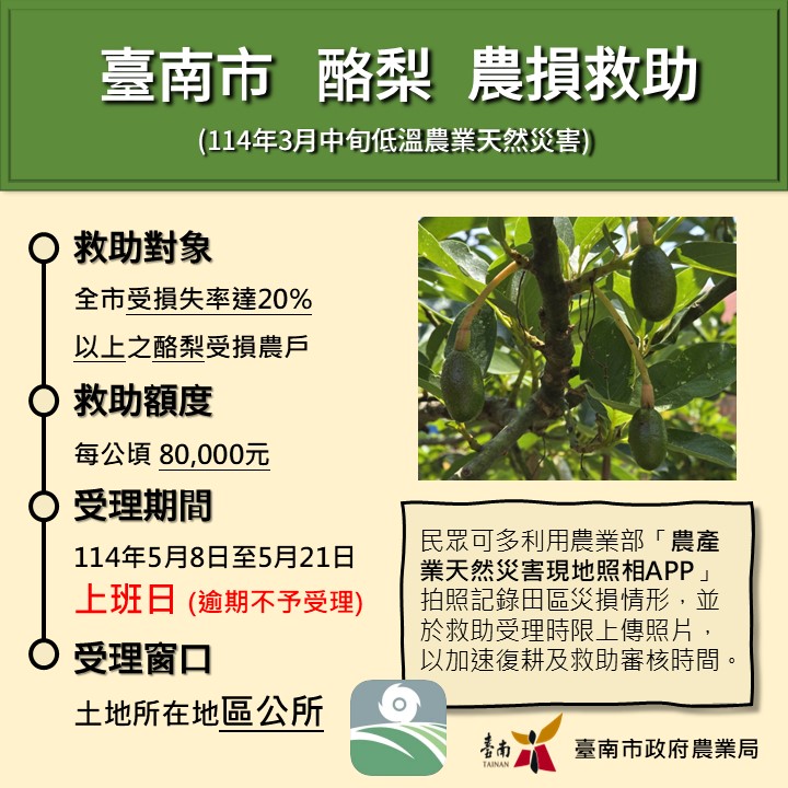 114年3月中旬低溫「酪梨」現金救助